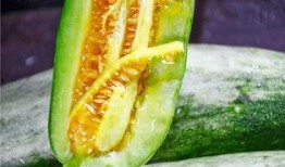 刚结婚的网红吃瓜,网红夫妻甜蜜生活大揭秘